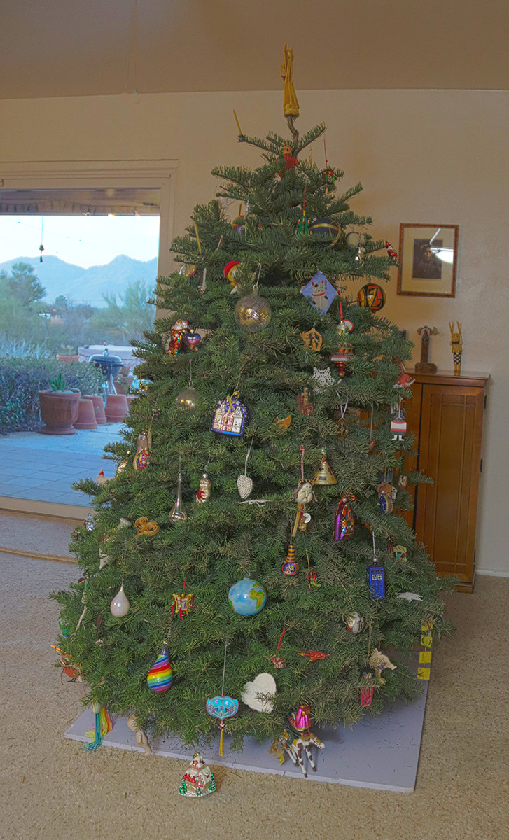 Tree without being lit