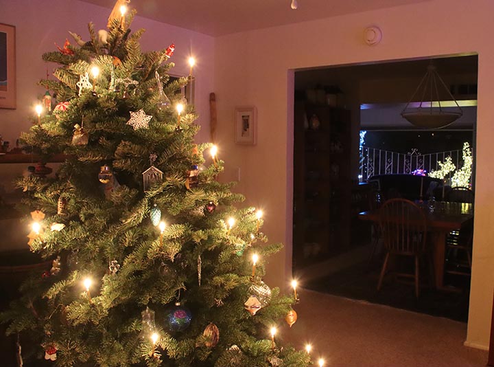 Looking south to front window