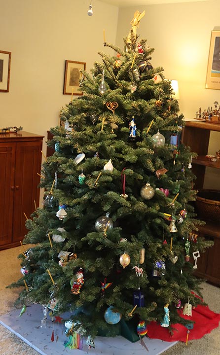 Tree without being lit